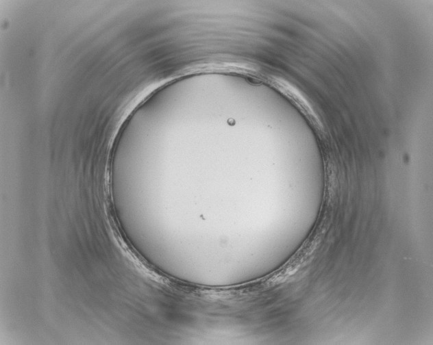 X0000059040852200511041634