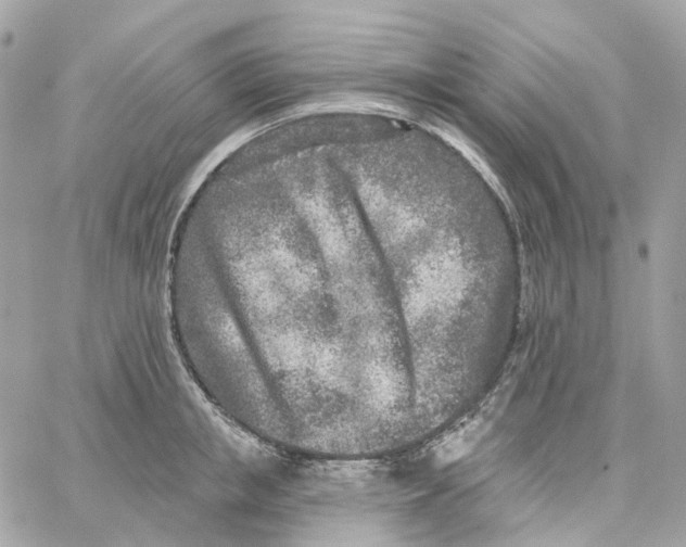 X0000059040853200511041635