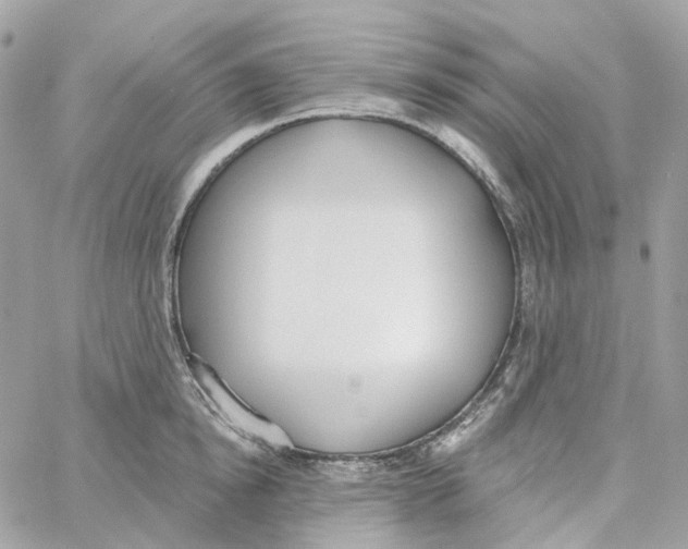 X0000059040854200511041635