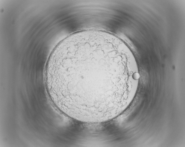 X0000059040856200511041635