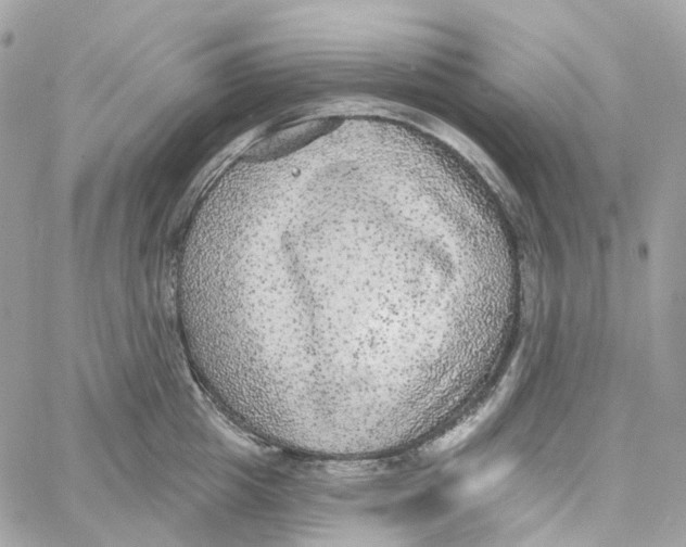 X0000059040857200511041635