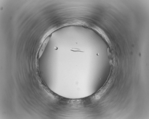 X0000059040858200511041635