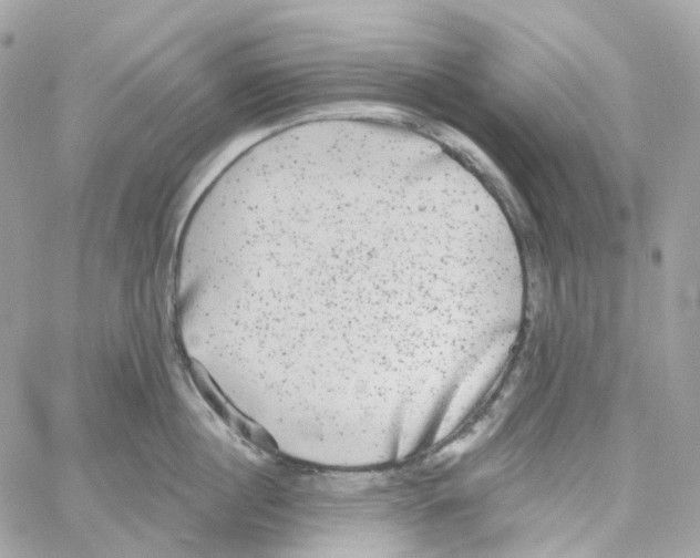 X0000059040860200511041635