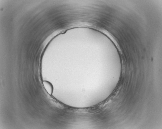 X0000059040861200511041635