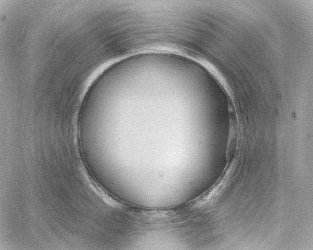 X0000059040862200511041635