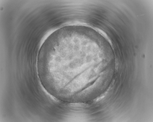 X0000059040863200511041635