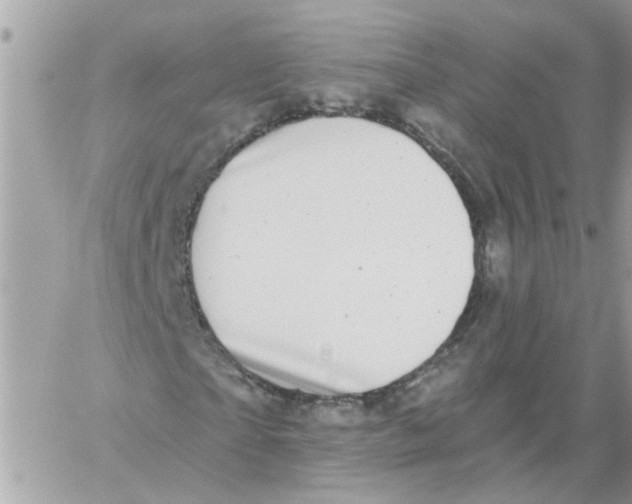 X0000059040865200511041634