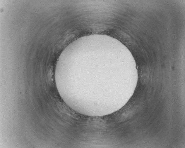 X0000059040866200511041634