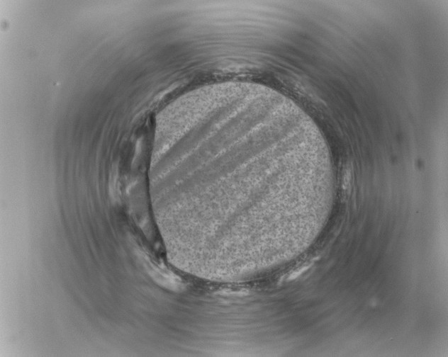 X0000059040868200511041634