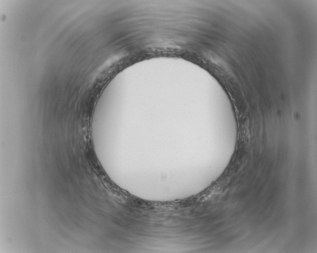 X0000059040870200511041634