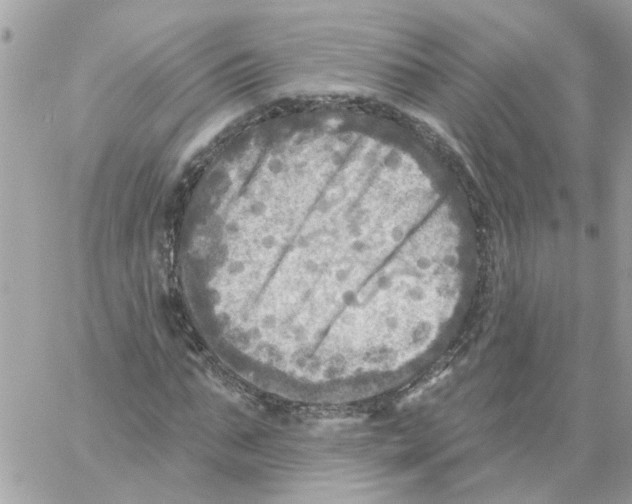 X0000059040871200511041634