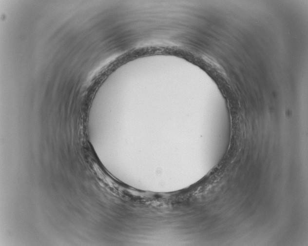 X0000059040872200511041634