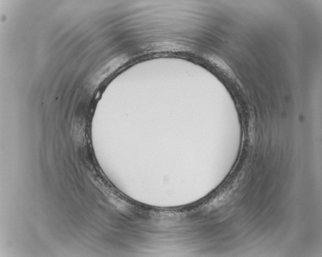 X0000059040873200511041634