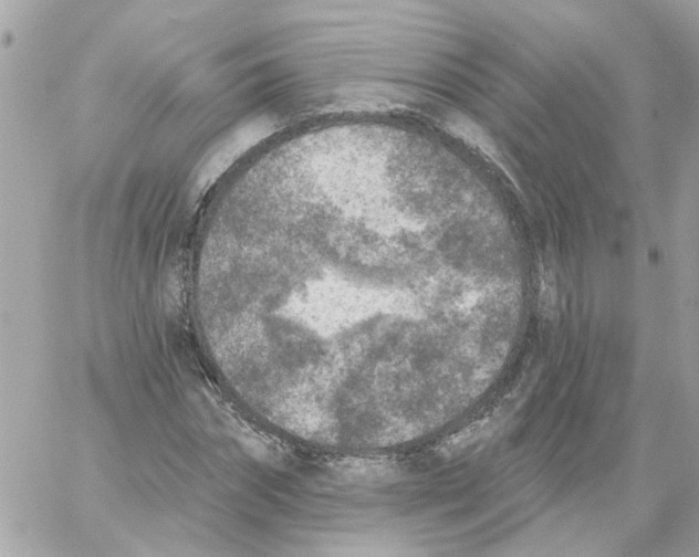 X0000059040874200511041634