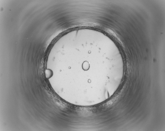 X0000059040875200511041634