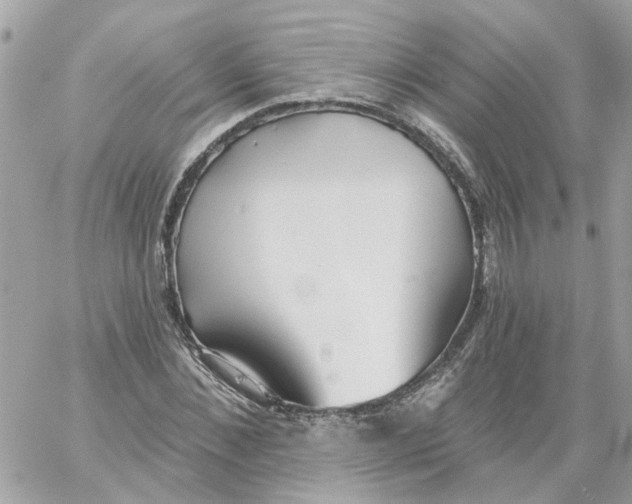 X0000059040876200511041634