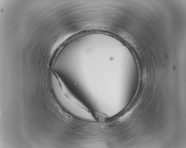 X0000059040877200511041634