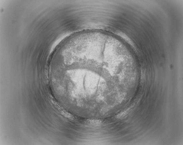 X0000059040878200511041634