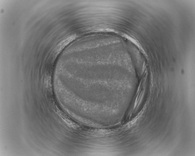 X0000059040881200511041634