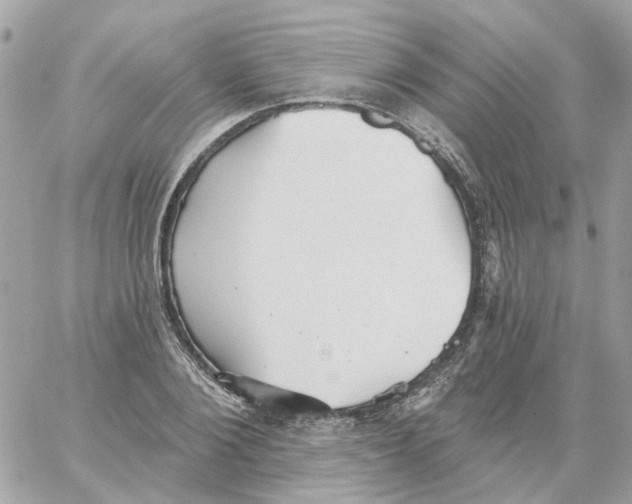 X0000059040884200511041634