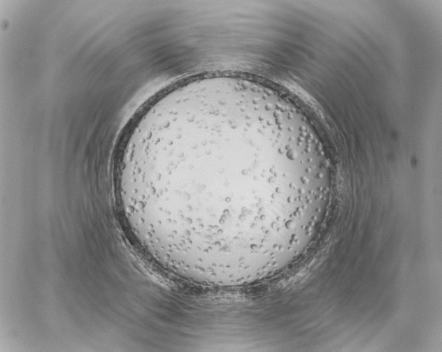 X0000059040886200511041634