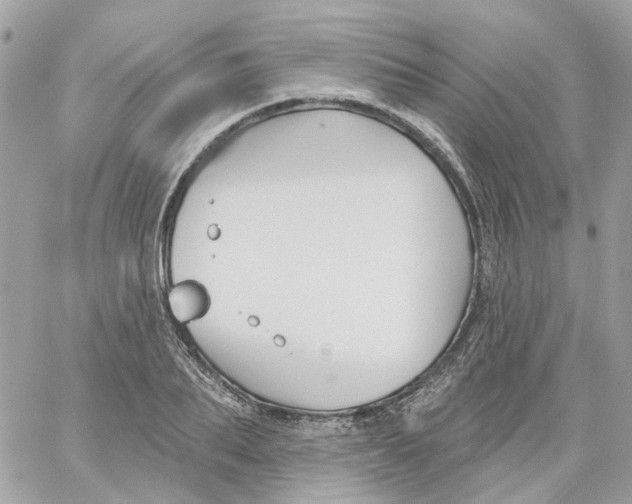 X0000059040887200511041634