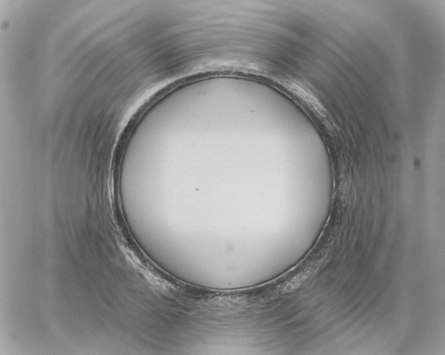 X0000059040888200511041634