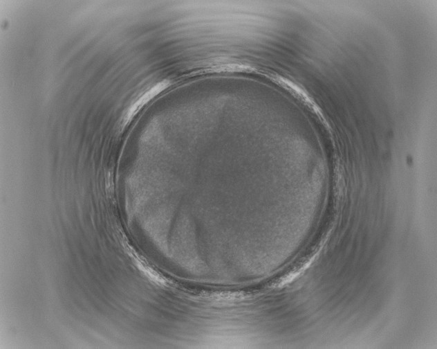 X0000059040889200511041633