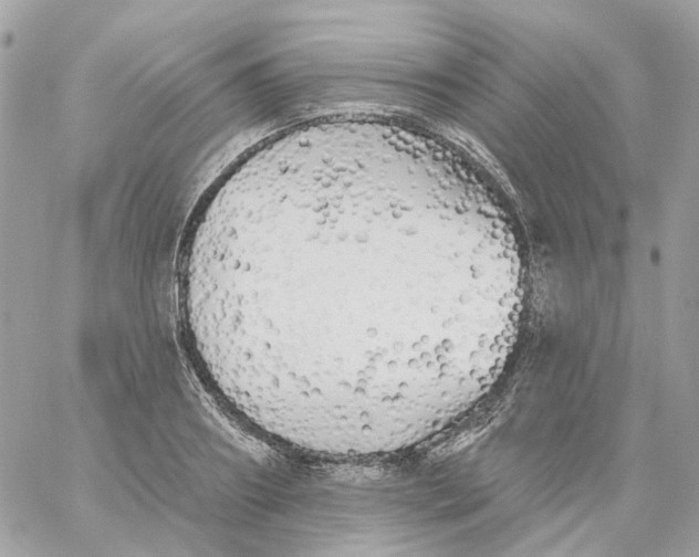 X0000059040890200511041633