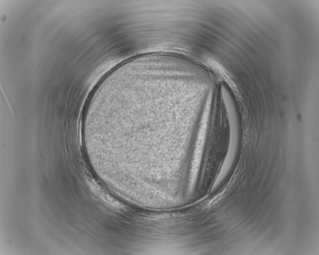 X0000059040892200511041633