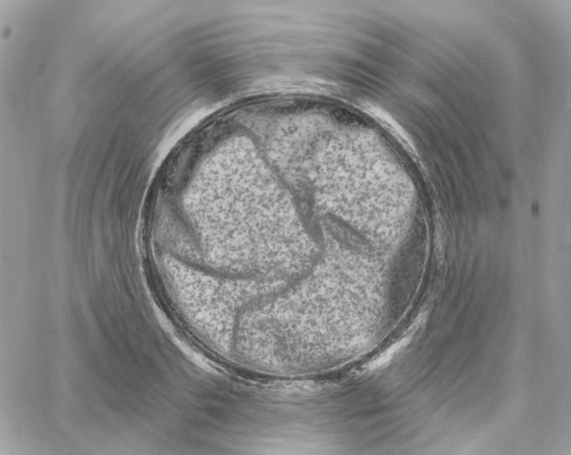 X0000059040893200511041633