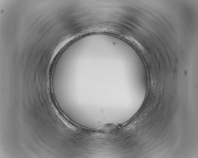 X0000059040894200511041633