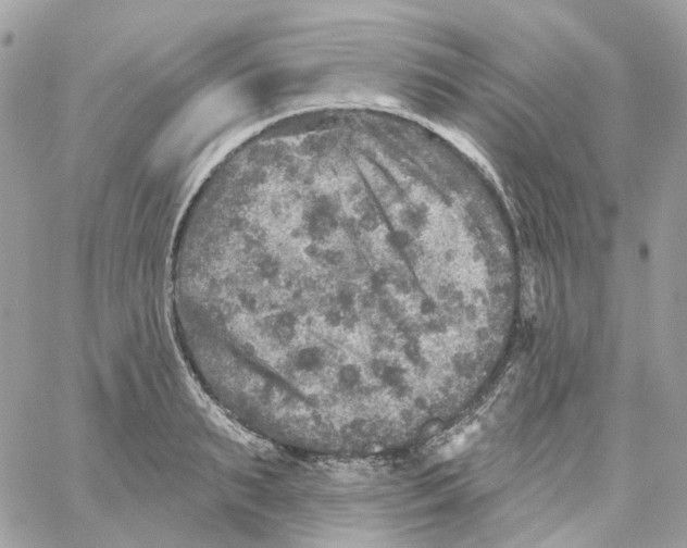 X0000059040895200511041633