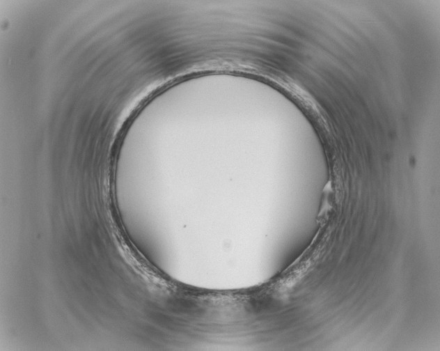 X0000059040896200511041633