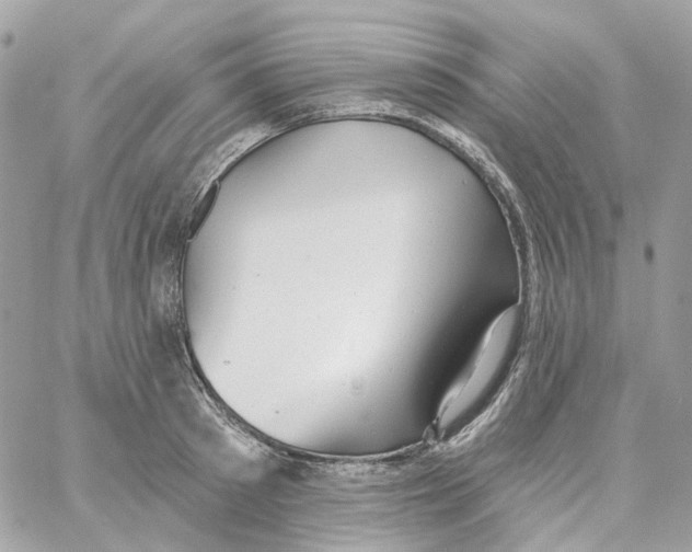 X0000059040897200511041633