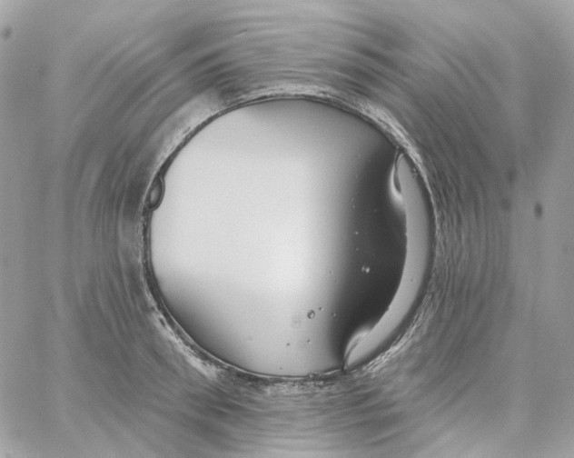 X0000059040898200511041633