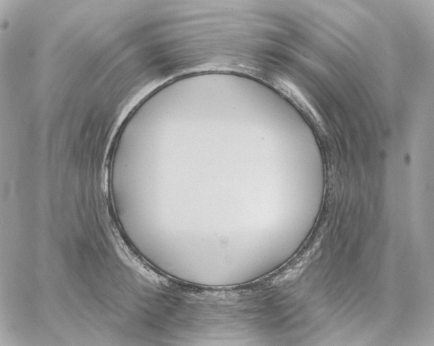 X0000059040900200511041633