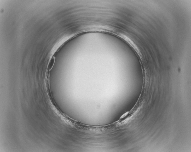 X0000059040901200511041633