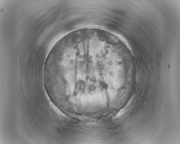 X0000059040903200511041633