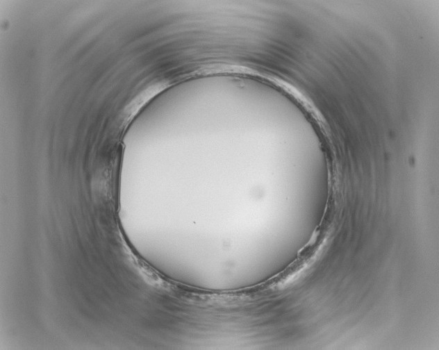 X0000059040905200511041633