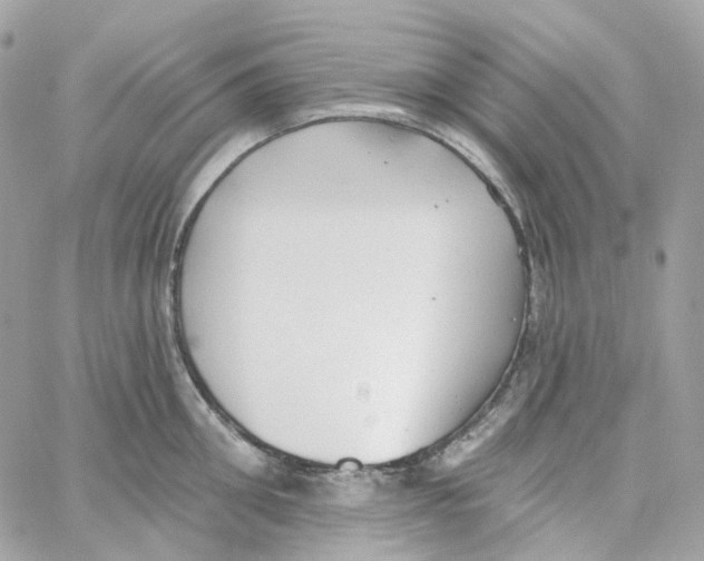 X0000059040906200511041633