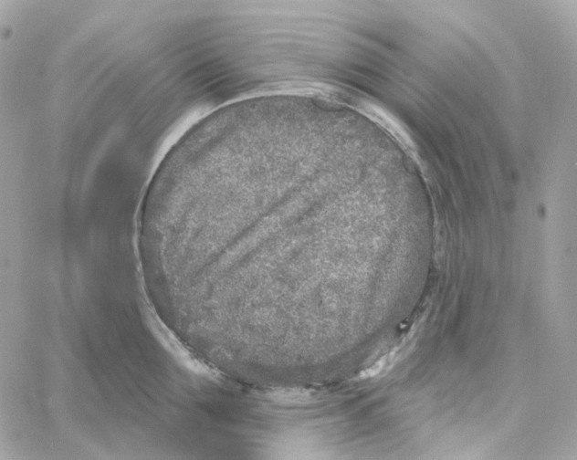 X0000059040907200511041633