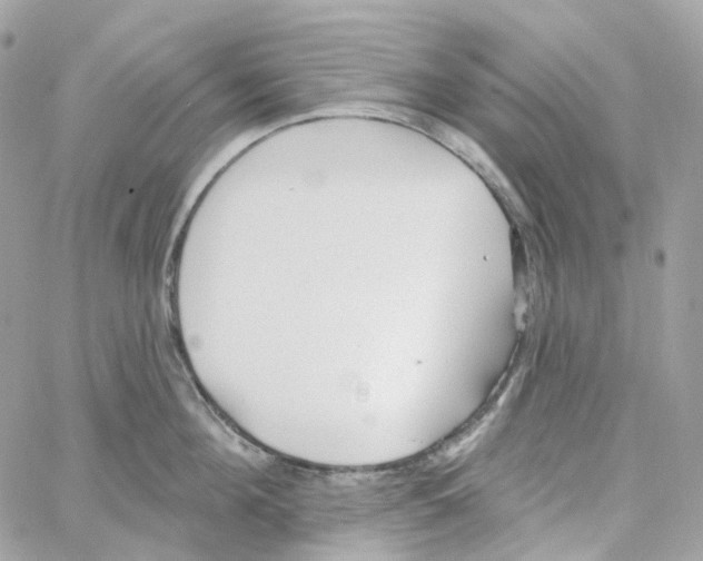 X0000059040908200511041633