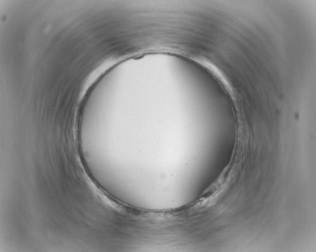 X0000059040910200511041633