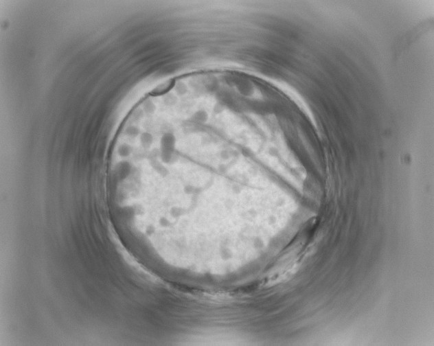 X0000059040911200511041633