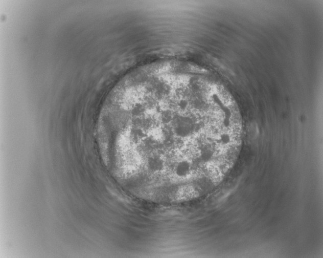 X0000059040913200511041632