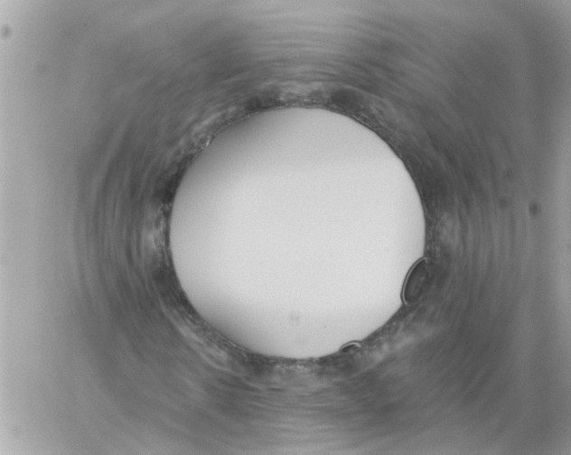 X0000059040914200511041632