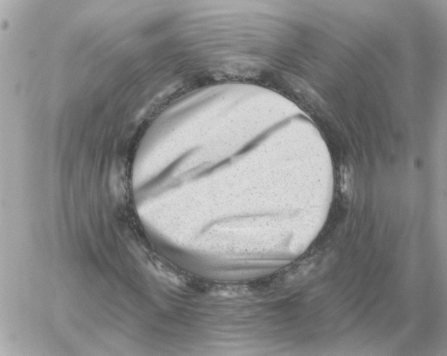 X0000059040915200511041632