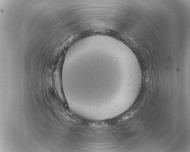 X0000059040916200511041632