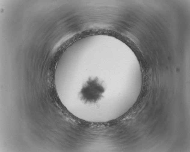 X0000059040919200511041632